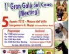 Amici a 4 zampe a Mazara del Vallo