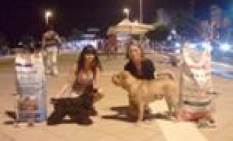 Gran Galà del Cane: successo per i partannesi