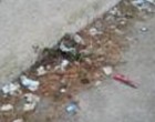 I cittadini segnalano: poca pulizia per le strade