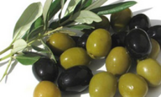 Settore olivicolo: fissato il prezzo delle olive per la nuova campagna