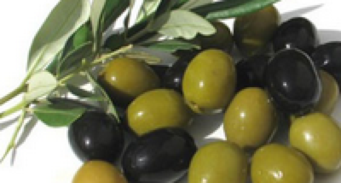 Settore olivicolo: fissato il prezzo delle olive per la nuova campagna