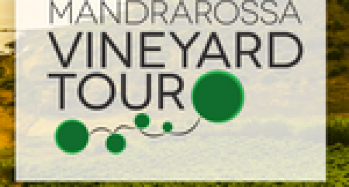 Oggi al via il “Mandrarossa Vineyard Tour”
