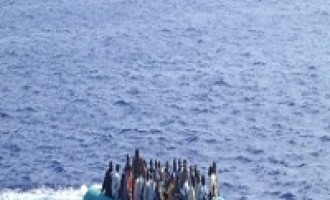 Trapani: soccorsi sei clandestini