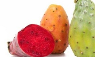 XIV Sagra del ficodindia a Santa Margherita Belice