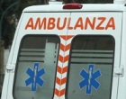Bambino azzannato al volto da un cane, è grave
