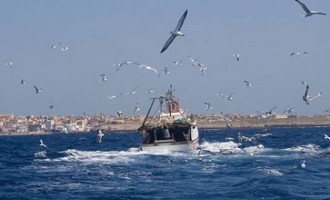 Consiglio Provinciale: riunione straordinaria sulla problematica dei pescherecci sequestrati