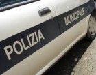 Comando dei vigili urbani infestato dalle pulci
