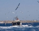 Attività di pesca nel mediterraneo: l’UE si assuma le proprie responsabilità. Dalla provincia proposta di un tavolo tecnico