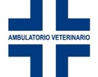 Trapani: il Comune stipula convenzione con negozi di animali ed ambulatori
