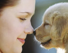 Un sorriso per la zampa: l’arte della fotografia incontra l’amore per il cane