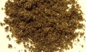 Trapani: fermato al porto con 4 kg di hashish