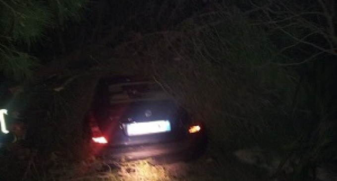 Partanna: crolla albero su auto, il proprietario: “disastro prevedibile”