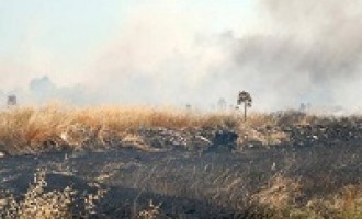 Castelvetrano: forte calo degli incendi grazie all’ordinanza sindacale sulla pulitura dei terreni