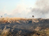 terreno incendiato