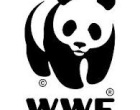 Trapani: il WWF internazionale approda alle isole Egadi
