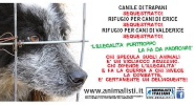 E’ partita in Sicilia la nuova campagna di sensibilizzazione di Animalisti Italiani Onlus