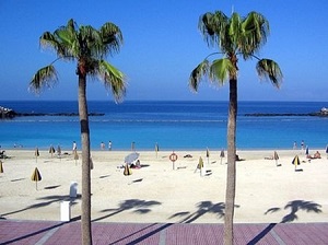 canarie
