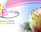 A Santa Margherita di Belìce XVI Edizione Ficodindia Fest 2014