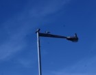 Castelvetrano: un palo della luce crea disagi alla viabilità e proteste