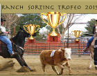 Partanna: “Trofeo Ranch Sporting”, risponde il sindaco Catania