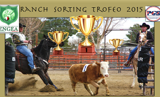 Partanna: “Trofeo Ranch Sporting”, risponde il sindaco Catania