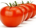 La Tomatina (Guerra di Pomodori)