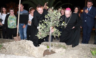 A Poggioreale un albero di ulivo in ricordo della Visita pastorale