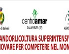 Convegno sulla Mandorlicoltura a Salemi: combattere la crisi con le mandorle