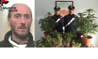 Alcamo: arrestato dai Carabinieri insospettabile “pollice verde”