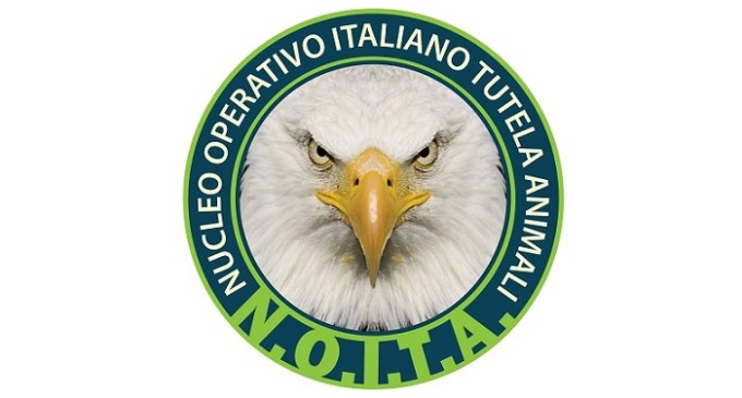 Nasce a Trapani il “Nucleo Operativo Italiano Tutela Animali”