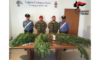 Marsala e Petrosino: 2 arresti per detenzione ai fini di spaccio di sostanze stupefacenti
