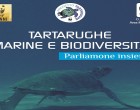 Triscina: domani incontro dal titolo “Tartarughe marine e biodiversità. Parliamone insieme”