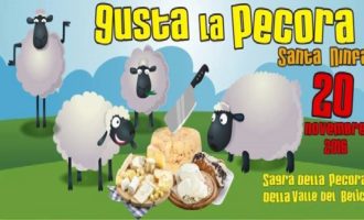 Santa Ninfa: domenica la seconda edizione di «Gusta la pecora»