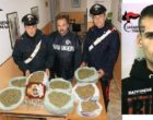Campobello: Carabinieri sequestrano più di sette kili di marijuana, un arresto