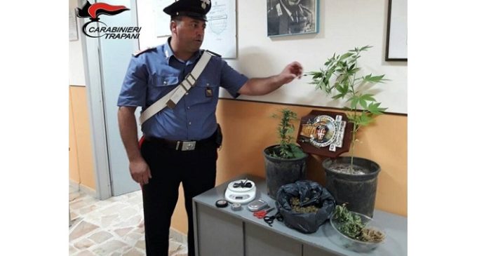 Castelvetrano: giovane imprenditore arrestato per spaccio di droga