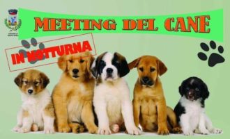 Santa Ninfa, meeting del cane: coppe, trofei e croccantini