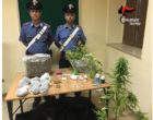 Marsala: supermarket della droga in casa, pantesco arrestato dai Carabinieri