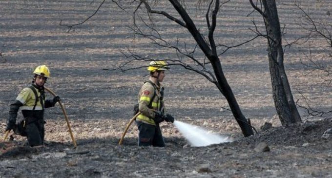 Pompieri volontari appiccavano incendi per percepire compensi