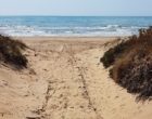 Rubati sei scivoli per l’accesso dei disabili alla spiaggia di Tre Fontane