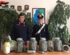 Cassette e barattoli pieni di maijuana. Arrestato 50enne