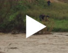 [VIDEO] Carabinieri salvano uomo partannese dal fiume Modione