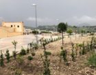 Al centro Kim un giardino ricco di alberi. Il nuovo progetto “green” del Rotary club Salemi