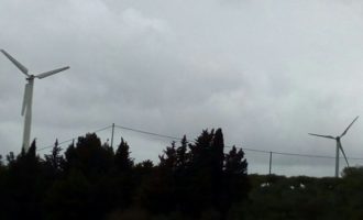 Salemi, Pale eoliche di San Ciro: Decibel oltre i limiti di legge, ma le eliche continuano a girare