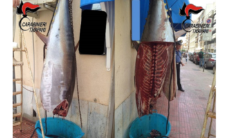 Trapani: sequestrato dai Carabinieri tonno in cattivo stato di conservazione. Due denunce