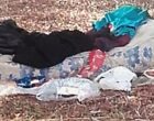 Castelvetrano, un clochard a Villa Regina Margherita. L’appello di un cittadino: “Qualcuno faccia qualcosa!”