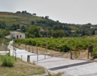 Salemi, avviso pubblico per i beni confiscati alla mafia. Si affida il “Ciliegio” e dei vigneti