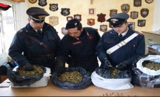 Sorpresi con 8 chili di Marijuana, in arresto uomo di Campobello e due fratelli di Castelvetrano