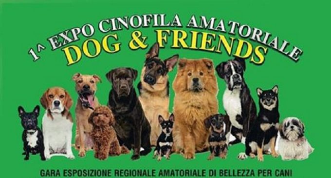 Castelvetrano, arriva la I^ sfilata cinofila dedicata anche ai cani meticci
